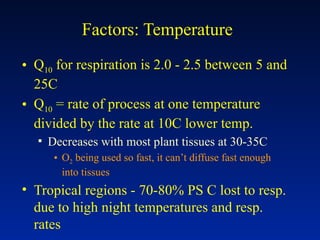 Factors: Temperature
• Q10 for respiration is 2.0 - 2.5 between 5 and
25C
• Q10 = rate of process at one temperature
divided by the rate at 10C lower temp.
▪ Decreases with most plant tissues at 30-35C
• O2 being used so fast, it can’t diffuse fast enough
into tissues
• Tropical regions - 70-80% PS C lost to resp.
due to high night temperatures and resp.
rates
 
