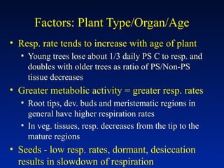 Factors: Plant Type/Organ/Age
• Resp. rate tends to increase with age of plant
▪ Young trees lose about 1/3 daily PS C to resp. and
doubles with older trees as ratio of PS/Non-PS
tissue decreases
• Greater metabolic activity = greater resp. rates
▪ Root tips, dev. buds and meristematic regions in
general have higher respiration rates
▪ In veg. tissues, resp. decreases from the tip to the
mature regions
• Seeds - low resp. rates, dormant, desiccation
results in slowdown of respiration
 