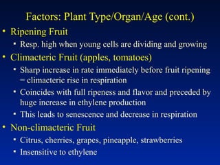 Factors: Plant Type/Organ/Age (cont.)
• Ripening Fruit
▪ Resp. high when young cells are dividing and growing
• Climacteric Fruit (apples, tomatoes)
▪ Sharp increase in rate immediately before fruit ripening
= climacteric rise in respiration
▪ Coincides with full ripeness and flavor and preceded by
huge increase in ethylene production
▪ This leads to senescence and decrease in respiration
• Non-climacteric Fruit
▪ Citrus, cherries, grapes, pineapple, strawberries
▪ Insensitive to ethylene
 
