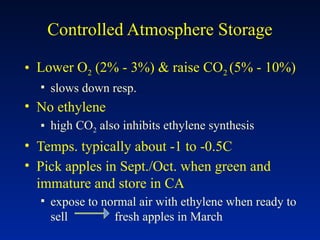 Controlled Atmosphere Storage
• Lower O2 (2% - 3%) & raise CO2 (5% - 10%)
▪ slows down resp.
• No ethylene
▪ high CO2 also inhibits ethylene synthesis
• Temps. typically about -1 to -0.5C
• Pick apples in Sept./Oct. when green and
immature and store in CA
▪ expose to normal air with ethylene when ready to
sell fresh apples in March
 