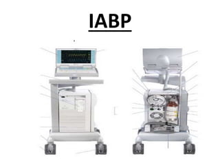 IABP
 