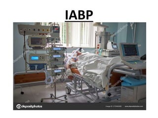 IABP
 