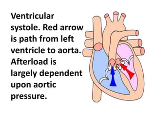 Ventricular
systole. Red arrow
is path from left
ventricle to aorta.
Afterload is
largely dependent
upon aortic
pressure.
 