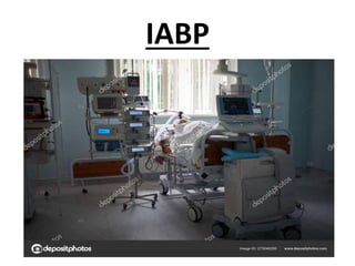 IABP
 