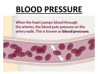 BLOOD PRESSURE
 
