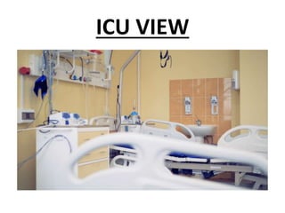 ICU VIEW
 