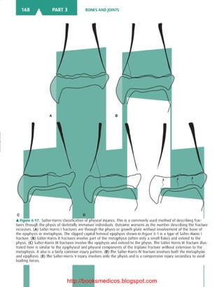Basic radiology, 2nd ed.