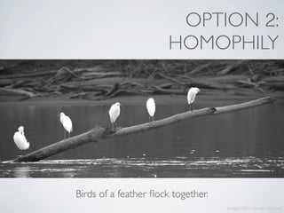 OPTION 2:
                       HOMOPHILY




Birds of a feather ﬂock together.
                                    image...
