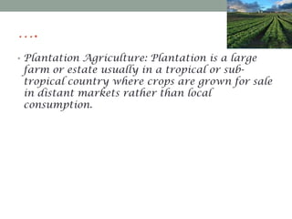 ….
• Plantation Agriculture: Plantation is a large

farm or estate usually in a tropical or subtropical country where crops are grown for sale
in distant markets rather than local
consumption.

 