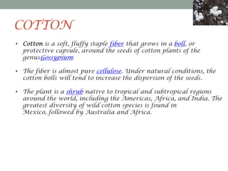 COTTON
• Cotton is a soft, fluffy staple fiber that grows in a boll, or
protective capsule, around the seeds of cotton plants of the
genusGossypium.
• The fiber is almost pure cellulose. Under natural conditions, the
cotton bolls will tend to increase the dispersion of the seeds.
• The plant is a shrub native to tropical and subtropical regions
around the world, including the Americas, Africa, and India. The
greatest diversity of wild cotton species is found in
Mexico, followed by Australia and Africa.

 