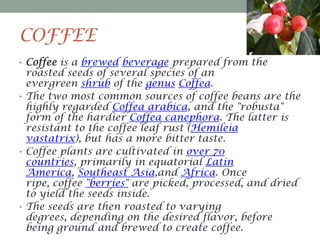 COFFEE
• Coffee is a brewed beverage prepared from the

roasted seeds of several species of an
evergreen shrub of the genus Coffea.
• The two most common sources of coffee beans are the
highly regarded Coffea arabica, and the "robusta"
form of the hardier Coffea canephora. The latter is
resistant to the coffee leaf rust (Hemileia
vastatrix), but has a more bitter taste.
• Coffee plants are cultivated in over 70
countries, primarily in equatorial Latin
America, Southeast Asia,and Africa. Once
ripe, coffee "berries" are picked, processed, and dried
to yield the seeds inside.
• The seeds are then roasted to varying
degrees, depending on the desired flavor, before
being ground and brewed to create coffee.

 