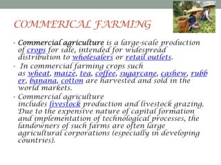 COMMERICAL FARMING
• Commercial agriculture is a large-scale production

of crops for sale, intended for widespread
distribution to wholesalers or retail outlets.
• In commercial farming crops such
as wheat, maize, tea, coffee, sugarcane, cashew, rubb
er, banana, cotton are harvested and sold in the
world markets.
• Commercial agriculture
includes livestock production and livestock grazing.
Due to the expensive nature of capital formation
and implementation of technological processes, the
landowners of such farms are often large
agricultural corporations (especially in developing
countries).

 