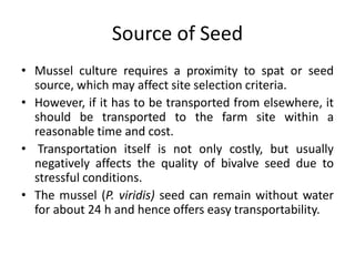 Source of Seed
• Mussel culture requires a proximity to spat or seed
source, which may affect site selection criteria.
• However, if it has to be transported from elsewhere, it
should be transported to the farm site within a
reasonable time and cost.
• Transportation itself is not only costly, but usually
negatively affects the quality of bivalve seed due to
stressful conditions.
• The mussel (P. viridis) seed can remain without water
for about 24 h and hence offers easy transportability.
 