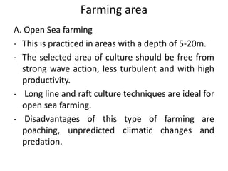 Farming area
A. Open Sea farming
- This is practiced in areas with a depth of 5-20m.
- The selected area of culture should be free from
strong wave action, less turbulent and with high
productivity.
- Long line and raft culture techniques are ideal for
open sea farming.
- Disadvantages of this type of farming are
poaching, unpredicted climatic changes and
predation.
 