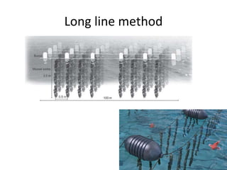 Long line method
 