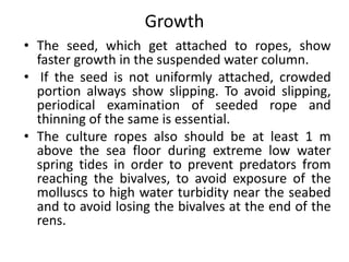 Growth
• The seed, which get attached to ropes, show
faster growth in the suspended water column.
• If the seed is not uniformly attached, crowded
portion always show slipping. To avoid slipping,
periodical examination of seeded rope and
thinning of the same is essential.
• The culture ropes also should be at least 1 m
above the sea floor during extreme low water
spring tides in order to prevent predators from
reaching the bivalves, to avoid exposure of the
molluscs to high water turbidity near the seabed
and to avoid losing the bivalves at the end of the
rens.
 