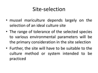 Site-selection
• mussel mariculture depends largely on the
selection of an ideal culture site
• The range of tolerance of the selected species
to various environmental parameters will be
the primary consideration in the site selection
• Further, the site will have to be suitable to the
culture method or system intended to be
practiced
 