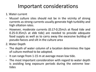 Important considerations
1. Water current
- Mussel culture sites should not be in the vicinity of strong
currents as strong currents usually generate high turbidity and
high siltation rates.
- However, moderate currents (0.17-0.25m/s at flood tide and
0.25-0.35m/s at ebb tide) are needed to provide adequate
food supply as well as to carry away the excessive buildup of
pseudo-faeces and silt in the culture area
2. Water Depth
- The depth of water column of a location determines the type
of culture method to be adopted.
- It can range from 1-15 m at average mean low tide.
- The most important consideration with regard to water depth
is avoiding long exposure periods during the extreme low-
tides
 