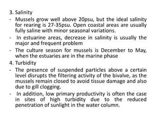 3. Salinity
- Mussels grow well above 20psu, but the ideal salinity
for rearing is 27-35psu. Open coastal areas are usually
fully saline with minor seasonal variations.
- In estuarine areas, decrease in salinity is usually the
major and frequent problem
- The culture season for mussels is December to May,
when the estuaries are in the marine phase
4. Turbidity
- The presence of suspended particles above a certain
level disrupts the filtering activity of the bivalve, as the
mussels remain closed to avoid tissue damage and also
due to gill clogging.
- In addition, low primary productivity is often the case
in sites of high turbidity due to the reduced
penetration of sunlight in the water column.
 