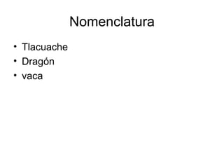 Nomenclatura Tlacuache Dragón vaca 