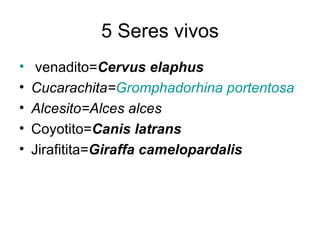 5 Seres vivos   venadito= Cervus elaphus   Cucarachita= Gromphadorhina  portentosa Alcesito= Alces alces   Coyotito= Canis latrans   Jirafitita= Giraffa camelopardalis   