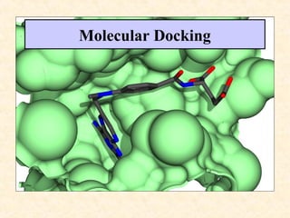Molecular Docking
 