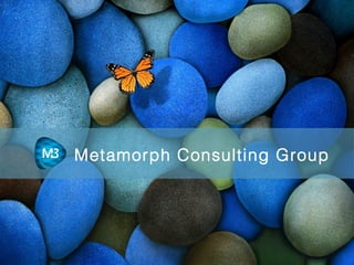 Metamorph Consulting Group

 