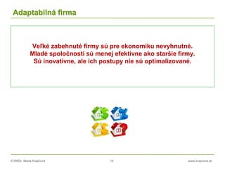 © RNDr. Marta Krajčíová 14 www.krajciova.sk
Adaptabilná firma
Veľké zabehnuté firmy sú pre ekonomiku nevyhnutné.
Mladé spoločnosti sú menej efektívne ako staršie firmy.
Sú inovatívne, ale ich postupy nie sú optimalizované.
 