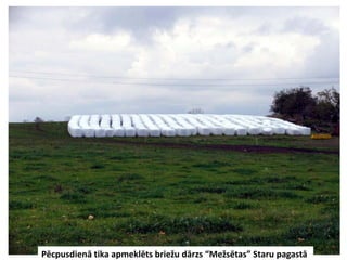 Pēcpusdienā tika apmeklēts briežu dārzs “Mežsētas” Staru pagastā
 