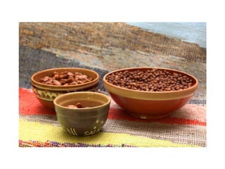 2009./10. mācību gads 1.semestris Malnavas koledžā