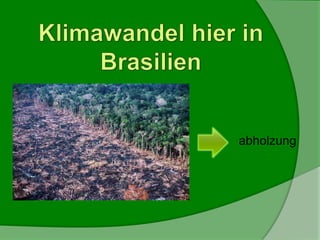 abholzung
