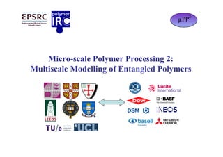 Micro-scale Polymer Processing 2:
Multiscale Modelling of Entangled Polymers