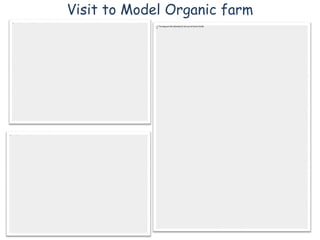 Visit to Model Organic farm
 