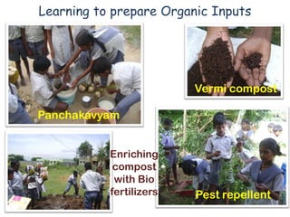 Learning to prepare Organic Inputs




                         Vermi compost

Panchakavyam


           Enriching
            compost
            with Bio
           fertilizers   Pest repellent
 
