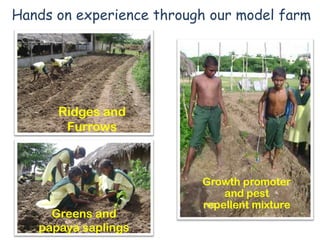 Hands on experience through our model farm




      Ridges and
       Furrows



                          Growth promoter
                              and pest
                          repellent mixture
     Greens and
   papaya saplings
 