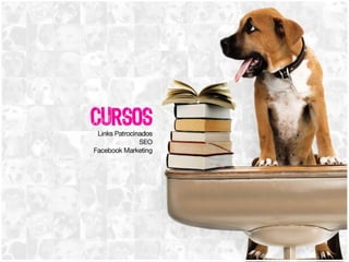 Cursos Links Patrocinados SEO Facebook Marketing 