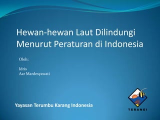 Hewan-hewan Laut Dilindungi
Menurut Peraturan di Indonesia
 Oleh:

 Idris
 Aar Mardesyawati




Yayasan Terumbu Karang Indonesia
 