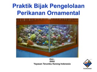 Praktik Bijak Pengelolaan
Perikanan Ornamental
Oleh :
IDRIS
Yayasan Terumbu Karang Indonesia
 