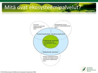 ekosysteemipalvelut-tuottavat-hyvinvointia-mkettunen-pdf