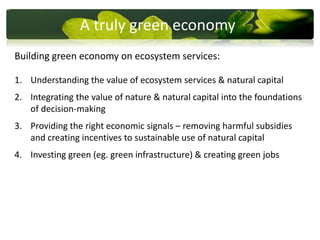 Natural Income Ecosystem services and natural capital – the foundation of a green ...