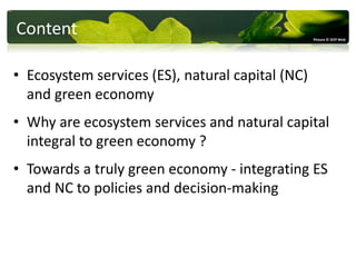 Natural Income Ecosystem services and natural capital – the foundation of a green ...