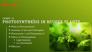 ( PA RT 1 )
PHOTOSYNTHESIS IN HIGHER PLANTS
 