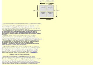 Figure 4-9 - Le BCG 2 (adapté BCG)




Les préconisations stratégiques seront adaptées à la position de l'entreprise sur la matrice :

- Activités fragmentées : il n‛y a pas de lien direct entre la part de marché et le taux
de rentabilité attendu du projet. L'entreprise peut cependant exploiter de
nombreuses opportunités de différenciation, même si celles-ci sont de faible importance.
La stratégie de l‛entreprise devra donc s‛adapter au cas par cas.
- Activités de spécialisation : les activités vont être rentables si le degré de spécialisation
est adapté compte tenu de l‛avantage concurrentiel de l‛entreprise par rapport à
ses concurrents. Il existe en effet de nombreuses et substantielles occasions de
se différencier. L'entreprise ne devra pas systématiquement viser la croissance de sa part
de marché.
- Activités de volume : l'entreprise peut bénéficier d'avantages compétitifs
importants, notamment en matière de coûts. La conquête de part de marché,
et l'accroissement des volumes deviennent le corollaire de la hausse de rentabilité du
projet. L‛entreprise doit donc mettre en place une stratégie offensive de conquête du marché
- Activités en impasse : il n'y a pas de possibilités d'évolution. La rentabilité ne varie
pas quelque soit la part de marché détenue par l‛entreprise. Les marges de manœuvre
de l'entreprise sont des plus limitées. Celle ci est donc dans une impasse
stratégique. L'entreprise peut décider de sortir du marché si le niveau de rentabilité
observé est inférieur au minimum décidé par l‛entreprise.

Les choix stratégiques de l‛entreprise reposent donc dans ce modèle sur une approche
plus pragmatique et donc moins globale que celle présentée dans le modèle des années 60.
Elle pourra s‛appliquer différemment selon la nature du projet analysé et son degré
de rentabilité espéré. La pierre angulaire des choix stratégiques futurs reposera sur
la possibilité pour l'entreprise de construire un avantage concurrentiel durable et
substantiel au travers, par exemple, la différenciation de son offre (Document 5).

                2. la matrice Arthur Doo Little ou matrice Shell

La matrice ADL, variante améliorée du modèle BCG, s'appuie sur une analyse
multicritères, basée sur l‛étude de la position concurrentielle (définie à partir
d'aspects qualitatifs et quantitatifs, elle peut être marginale, défavorable, favorable, forte
ou dominante.) de l‛entreprise dans un secteur d‛activité (dont le degré de
maturité est apprécié à partir du cycle de vie du marché, un secteur étant d‛autant
plus mature qu‛il repose sur un ensemble de variables stables, par exemple technologique,
et qu‛il ne nécessite pas pour l‛entreprise d‛investissements trop importants). Dans
 