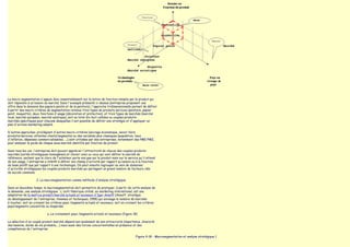 La macro segmentation s'appuie donc essentiellement sur la notion de fonction remplie par le produit qui
doit répondre à un besoin du marché. Dans l'exemple présenté ci-dessus (entreprise proposant une
offre dans le domaine des papiers peints et de la peinture), l'approche tridimensionnelle permet de définir
à partir des macro critères de segmentation retenus trois types de produits services (peinture, papier
peint, moquette), deux fonctions d'usage (décoration et protection), et trois types de marchés (marché
local, marché européen, marché asiatique), soit au total dix-huit cellules ou couples produits-
marchés spécifiques pour chacune desquelles il est possible de définir une stratégie et d'appliquer un
plan d'actions marketing adapté.

D'autres approches, privilégiant d'autres macro-critères (ancrage économique, savoir faire
produits/services, attentes clients/segments) ou des variables plus classiques (population, taux
d'inflation, dépenses commercialisables, ...) sont utilisées par des entreprises, notamment des PME/PMI,
pour analyser le poids de chaque sous-marché identifié par fonction de produit.

Dans tous les cas, l'entreprise doit pouvoir apprécier l'attractivité de chacun des couples produits-
marchés (unités stratégiques homogènes) et choisir celui ou ceux qui vont définir le marché de
référence. sachant que le choix de l'acheteur porte non pas sur le produit mais sur le service qu'il attend
de son usage, l'entreprise a intérêt à définir son champ d'activité par rapport au besoin ou à la fonction
de base plutôt que par rapport à une technologie. On peut ensuite regrouper au sein de domaines
d'activités stratégiques les couples produits marchés qui partagent un grand nombre de facteurs clés
de succès communs.

                    2. La macrosegmentation comme méthode d'analyse stratégique

Dans un deuxième temps, la macrosegmentation doit permettre de pratiquer, à partir de cette analyse de
la demande, une analyse stratégique . L'outil théorique utilisé, en marketing international, est une
adaptation de la matrice produit/marché actuels et nouveaux d'Igor Ansoff (Ansoff, stratégie
du développement de l'entreprise, Hommes et techniques, 1958) qui envisage le nombre de marchés
à toucher, soit en croisant les critères pays /segments actuels et nouveaux, soit en croisant les critères
pays/segments concentrés ou dispersés

                            a. Le croisement pays /segments actuels et nouveaux (figure 18)

La sélection d'un couple produit-marché dépend non seulement de son attractivité (importance, diversité
des besoins, durée de vie probable,...) mais aussi des forces concurrentielles en présence et des
compétences de l'entreprise

                                                                                            Figure 4-18 - Macrosegmentation et analyse stratégique 1
 