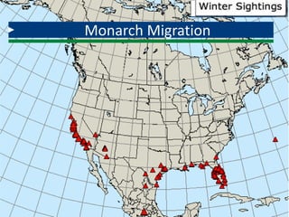 Monarch Migration
 