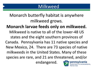 Milkweed
Monarch butterfly habitat is anywhere
milkweed grows.
Monarch larvae feeds only on milkweed.
Milkweed is native to all of the lower-48 US
states and the eight southern provinces of
Canada. Pennsylvania has 11 native species and
New Mexico, 24. There are 73 species of native
milkweeds in the United States. Many of these
species are rare, and 21 are threatened, and/or
endangered.
 