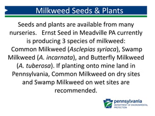 Milkweed Seeds & Plants
Seeds and plants are available from many
nurseries. Ernst Seed in Meadville PA currently
is producing 3 species of milkweed:
Common Milkweed (Asclepias syriaca), Swamp
Milkweed (A. incarnata), and Butterfly Milkweed
(A. tuberosa). If planting onto mine land in
Pennsylvania, Common Milkweed on dry sites
and Swamp Milkweed on wet sites are
recommended.
 