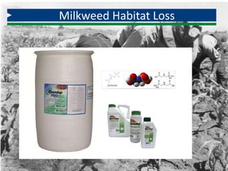 Milkweed Habitat Loss
 