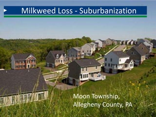 Milkweed Loss - Suburbanization
Moon Township,
Allegheny County, PA
 