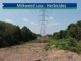 Milkweed Loss - Herbicides
 